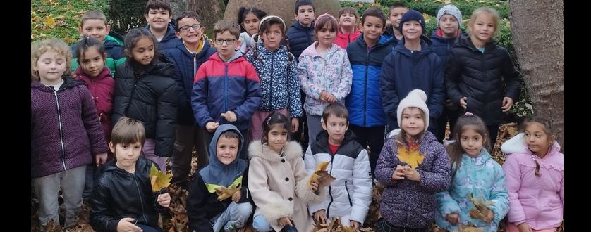 Пътешествие във времето: Първокласници отдадоха почит на историята в РИМ – Добрич