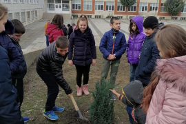 Дървото като символ за надежда за моето утре, за по-добро бъдеща в свободна България.