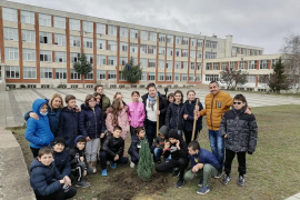 Дървото като символ за надежда за моето утре, за по-добро бъдеща в свободна България.