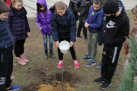 Дървото като символ за надежда за моето утре, за по-добро бъдеща в свободна България.