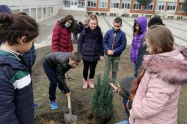 Дървото като символ за надежда за моето утре, за по-добро бъдеща в свободна България.