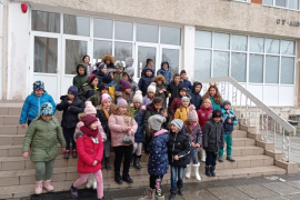 Засади дърво