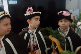 Коледари