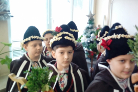 Коледари