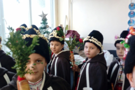 Коледари