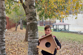 Къщички за птичките в двора