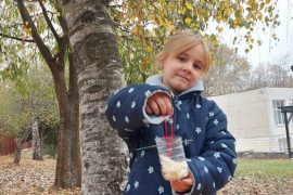 Къщички за птичките в двора