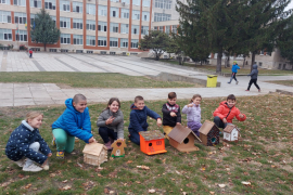 Къщички за птичките в двора