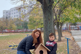 Къщички за птичките в двора