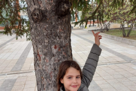 Къщички за птичките в двора