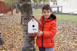 Къщички за птичките в двора