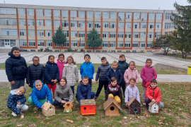 Къщички за птичките в двора