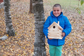 Къщички за птичките в двора