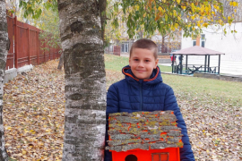 Къщички за птичките в двора