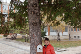 Къщички за птичките в двора