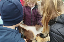Пътешествие във времето